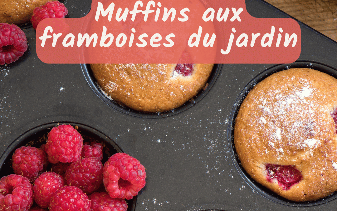 Muffins framboise recette facile